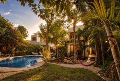 The garden and pool at golden hour