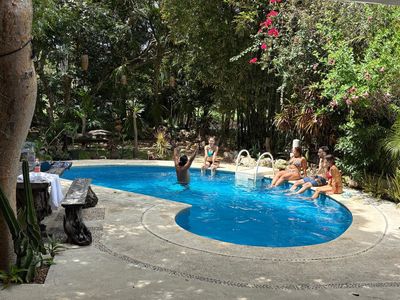 The private pool surrounded by garden